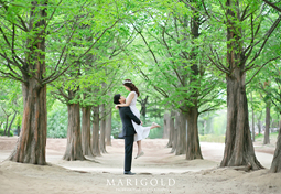 Marigold Studio - reference